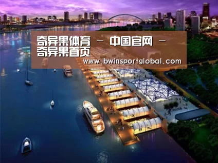 案例展示八