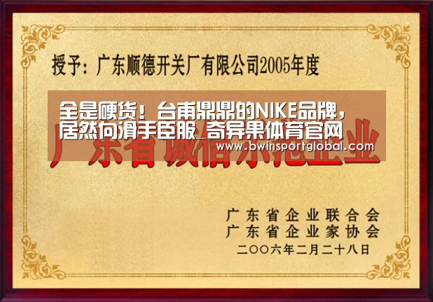 全是硬货!台甫鼎鼎的NIKE品牌,居然向滑手臣服_奇异果体育官网(图1) 奇异果体育官网